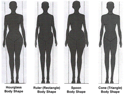 Women+body+types